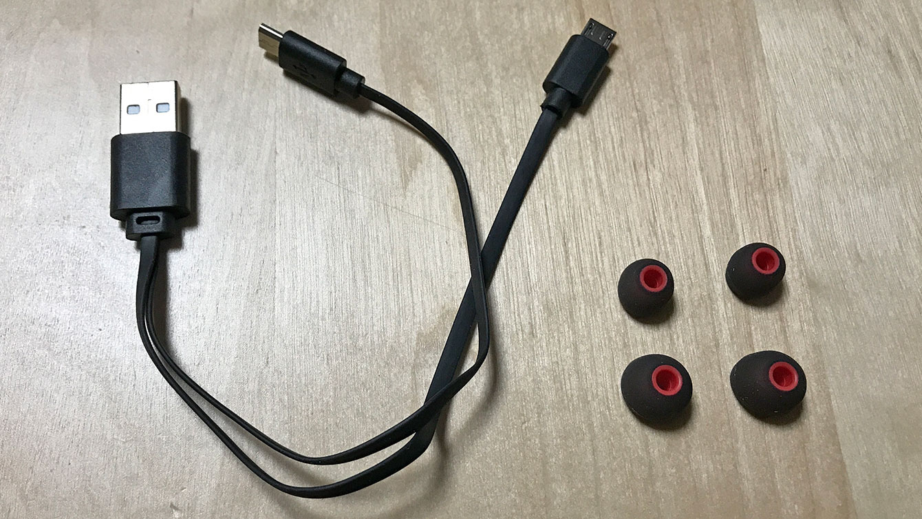 USBケーブルとイヤーチップ