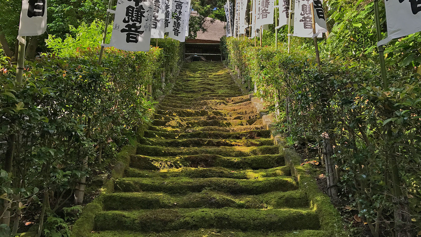 杉本寺の苔の階段